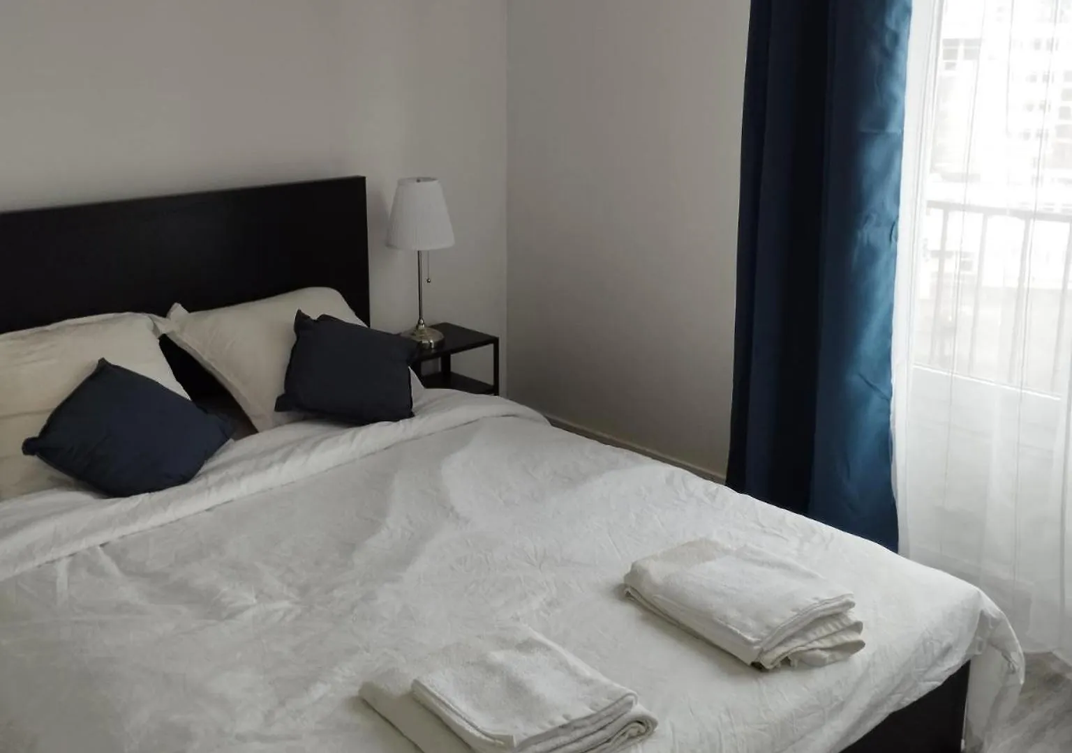 Grand Appartement Brest Pour Max 11 Personnes 法国